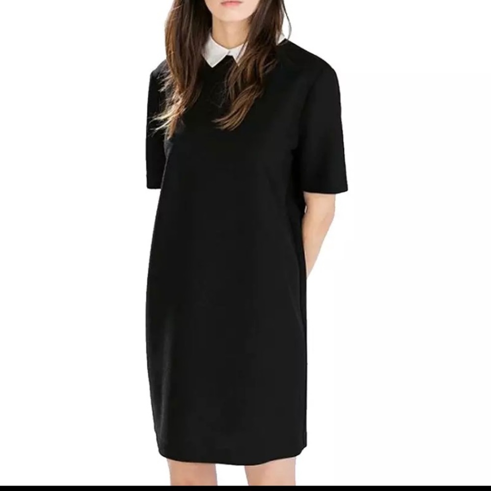 Black Shirt Dress